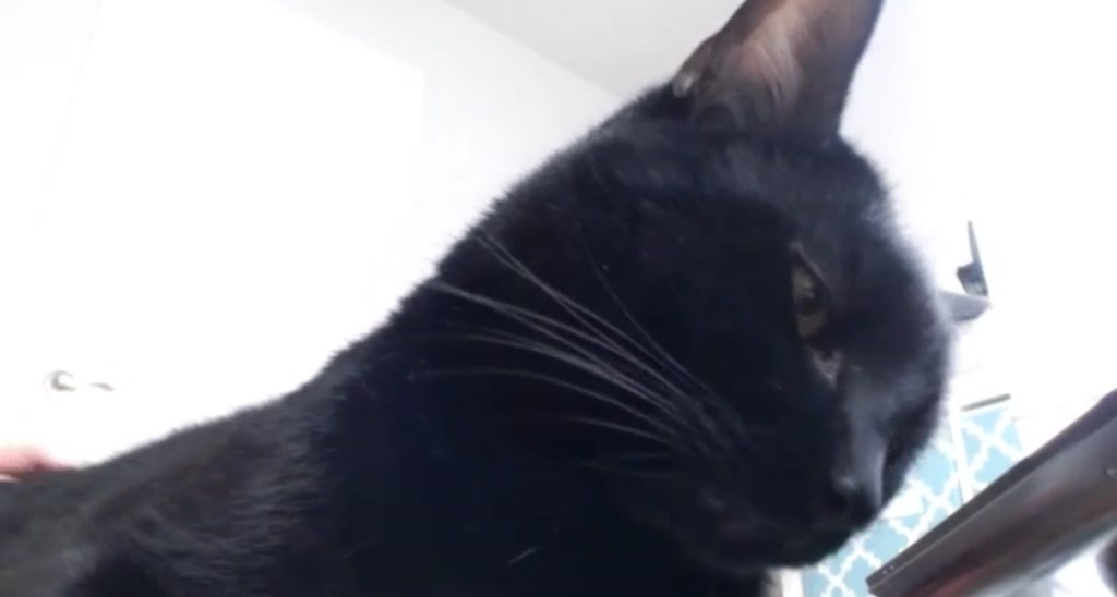 NataliaGrey video thumbnail