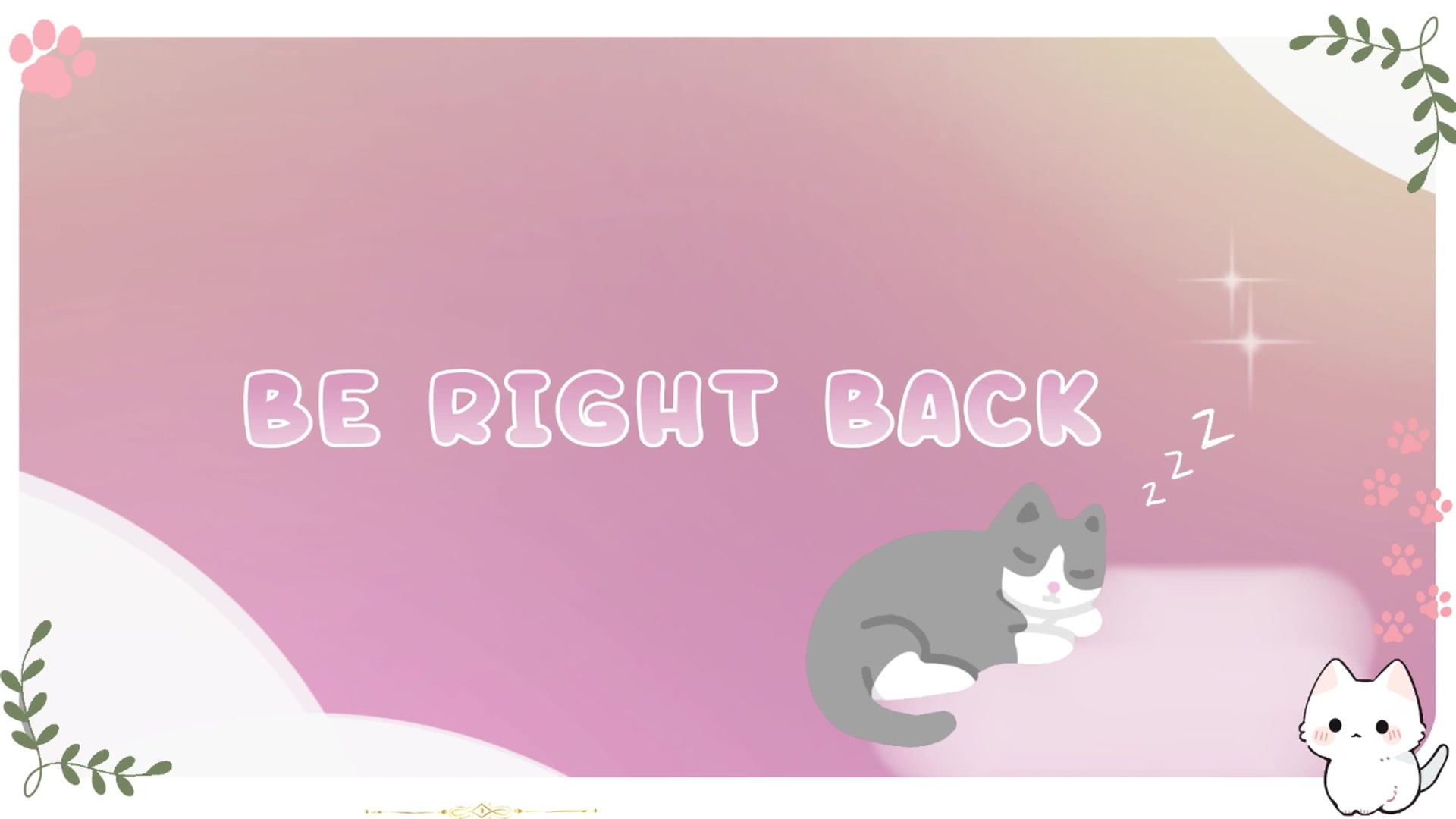 Kitty video thumbnail