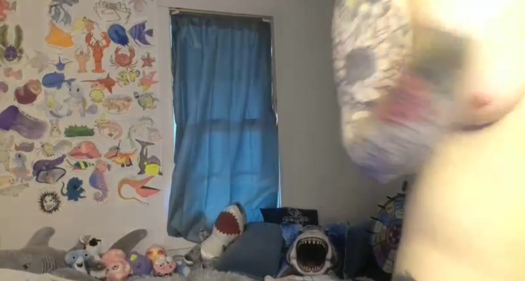 Shark_Eyes video thumbnail