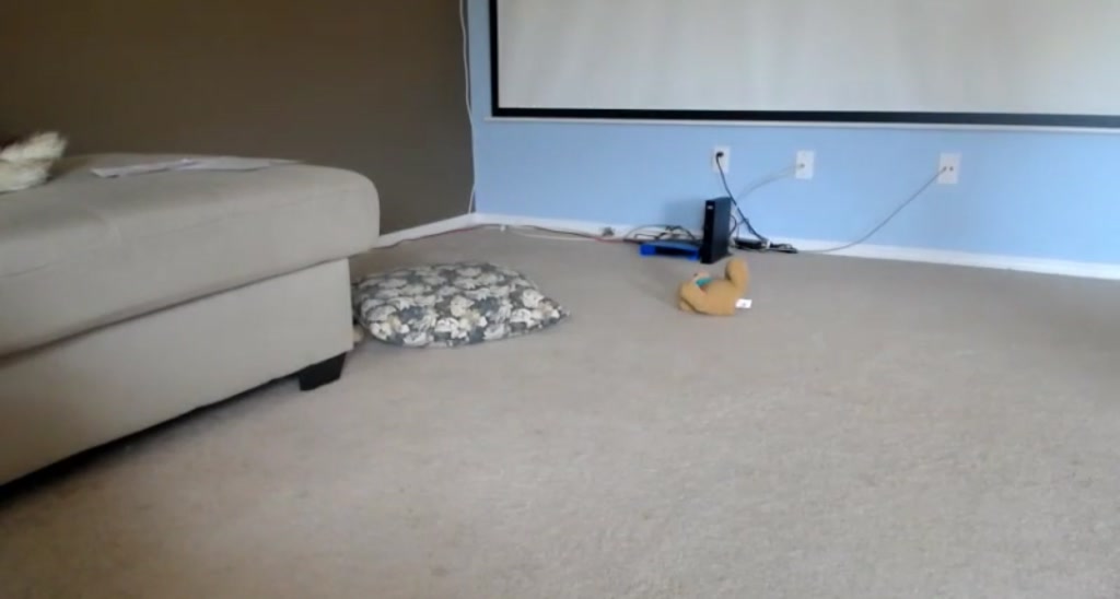 Ash_Montana video thumbnail