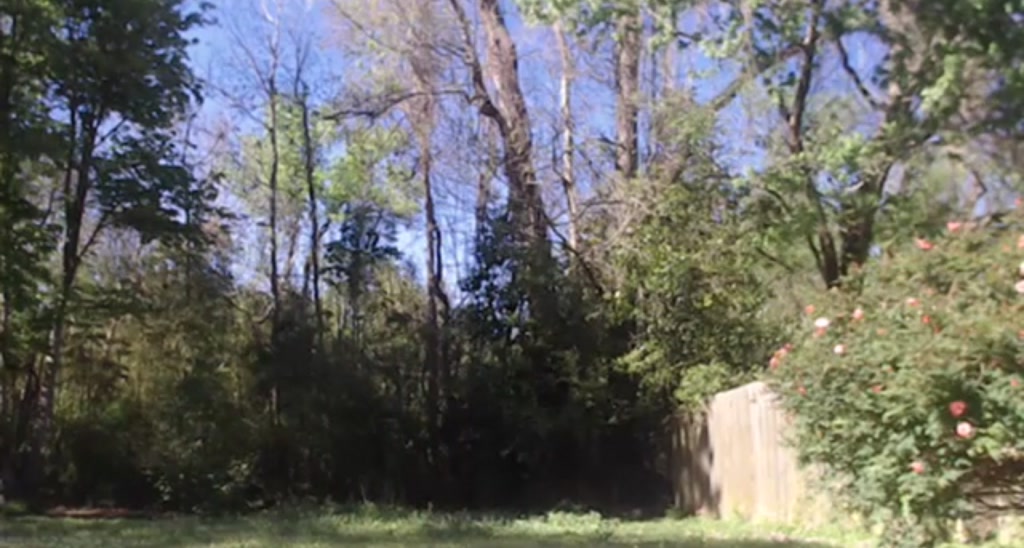 ella_xo video thumbnail