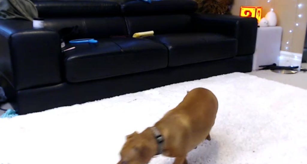 EmilyTokes video thumbnail