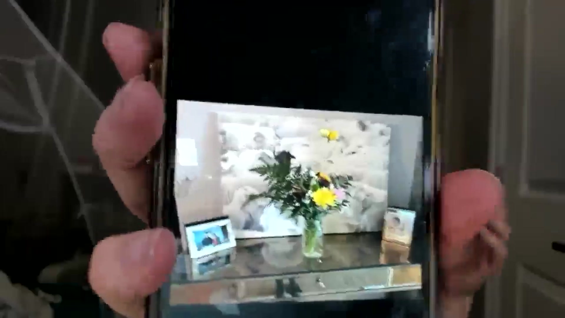 Laurel video thumbnail