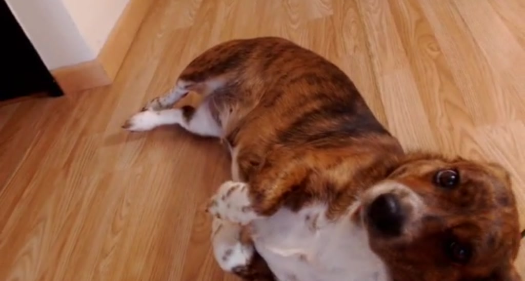 LeahBell_ video thumbnail
