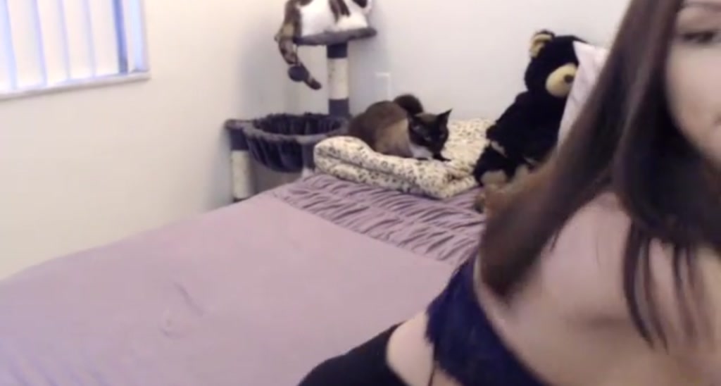 smttenkitten video thumbnail