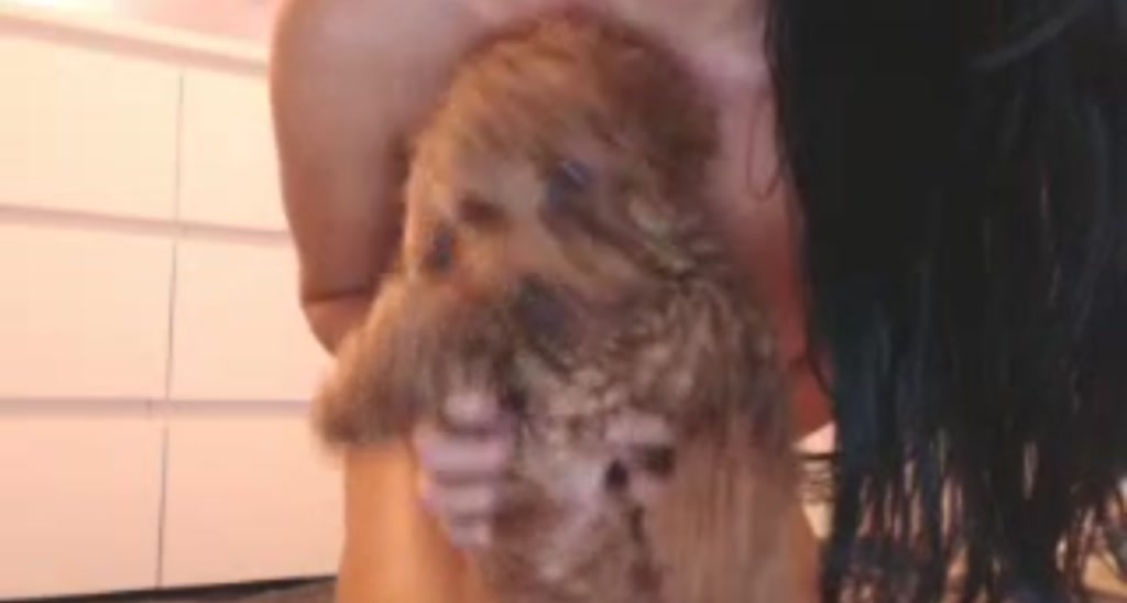 CamWithCarmen video thumbnail