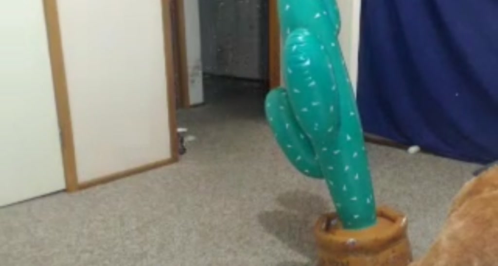 Heidiv video thumbnail