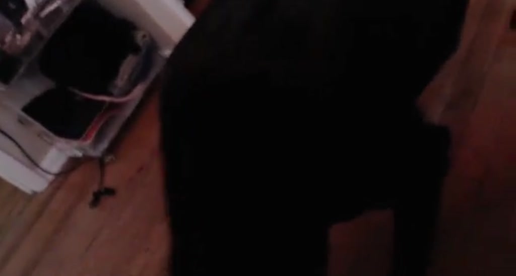 poison_remedy video thumbnail