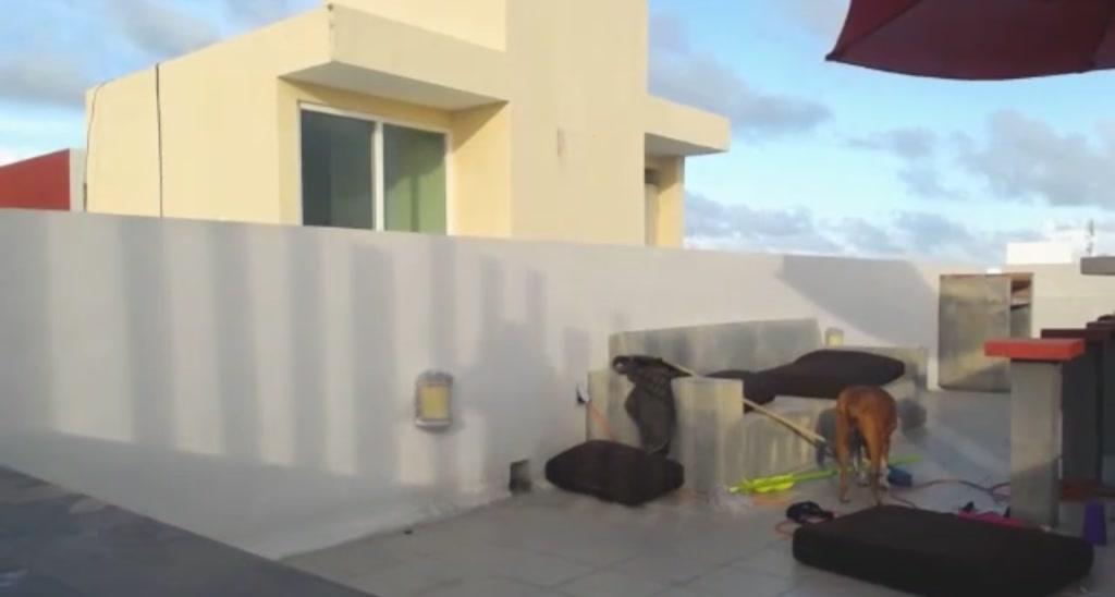 GingerMFC video thumbnail
