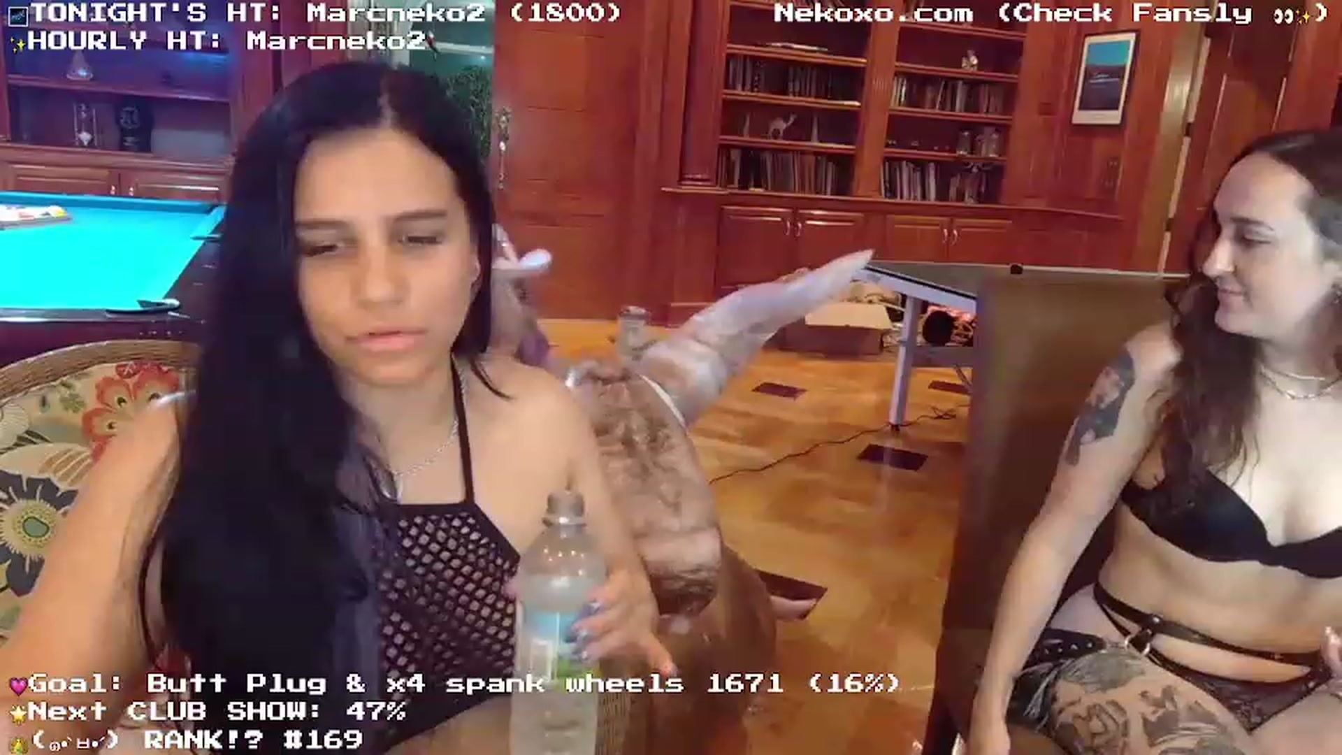 Nekobeanxo video thumbnail
