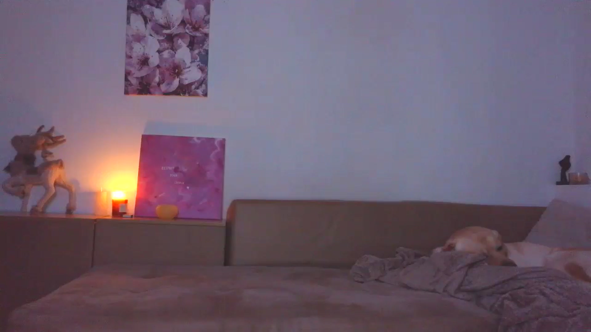HaleyReed video thumbnail