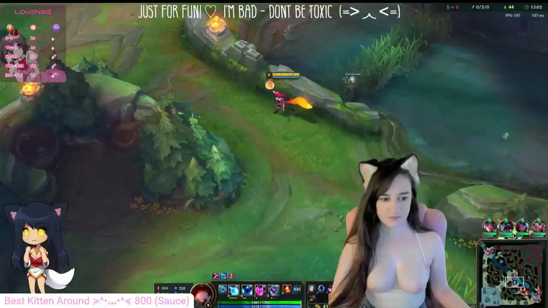 Kitty video thumbnail