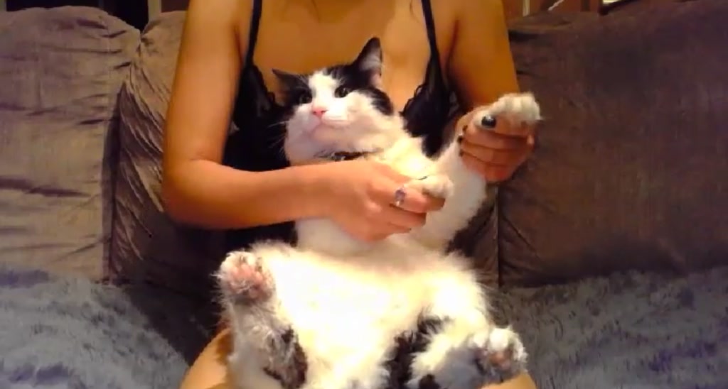 VanessaW video thumbnail