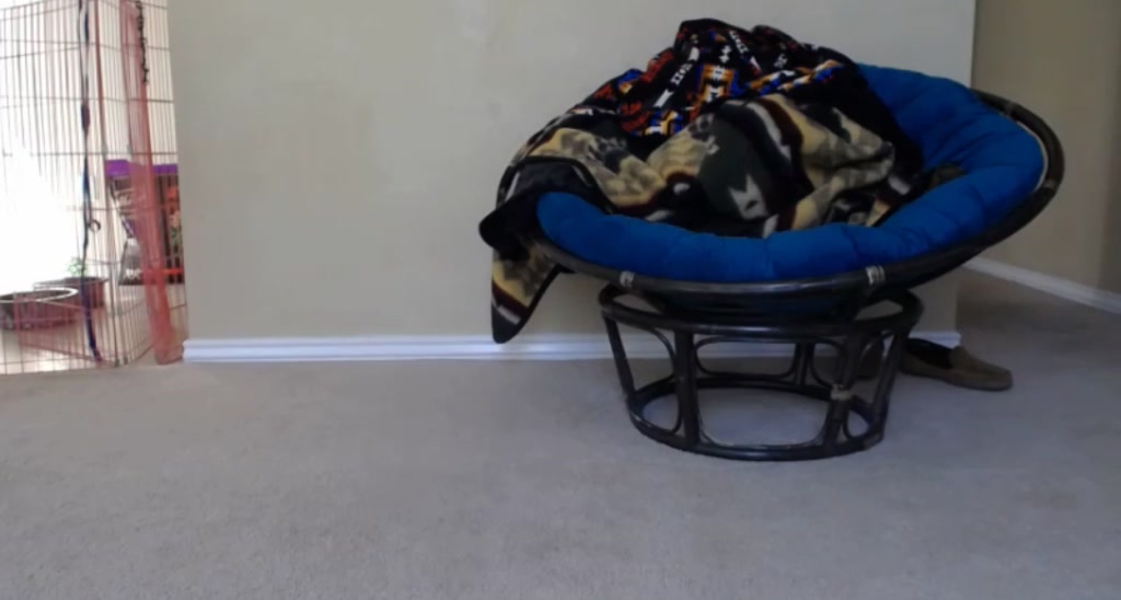 Aja__B video thumbnail