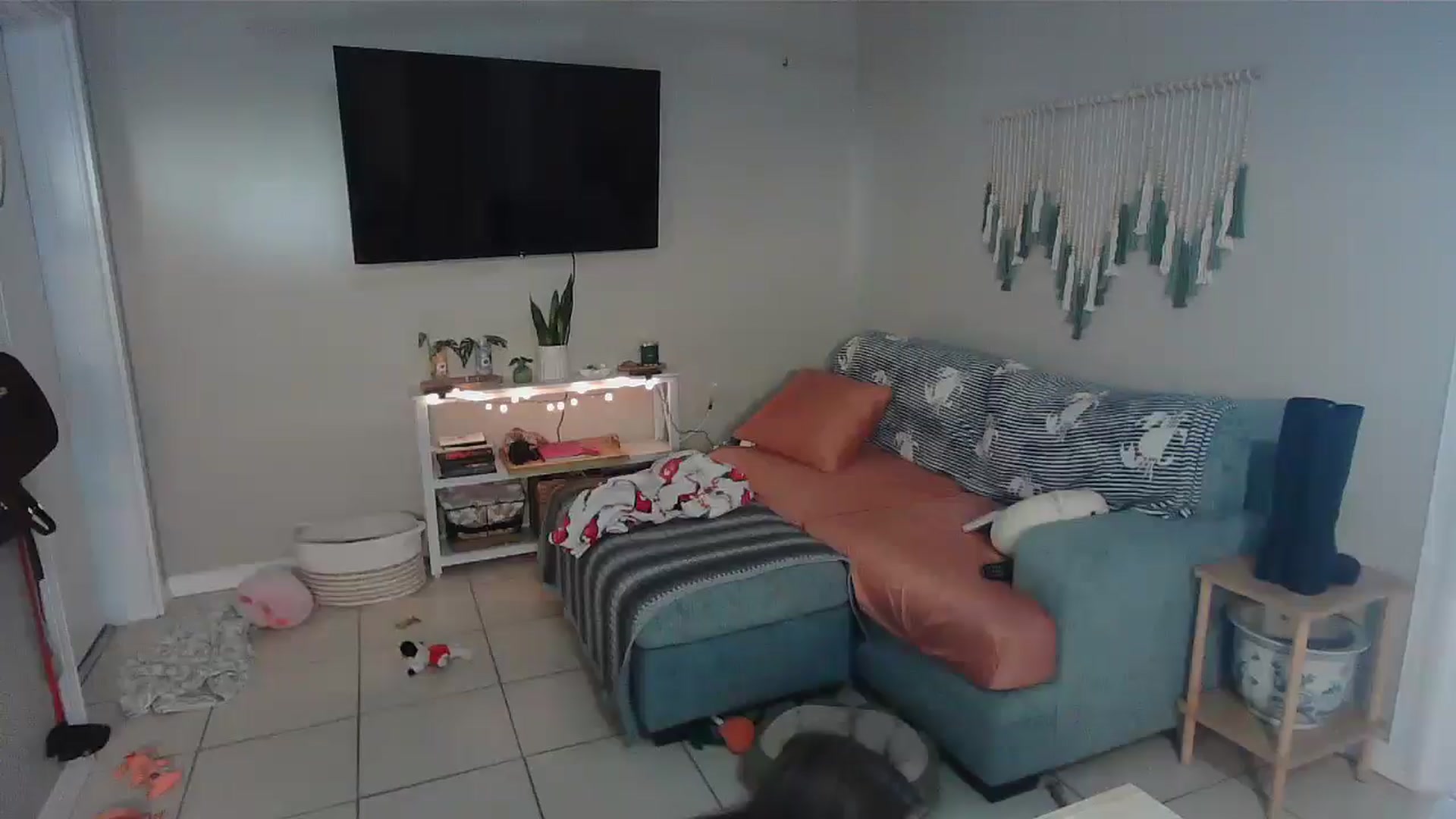 Bambz video thumbnail