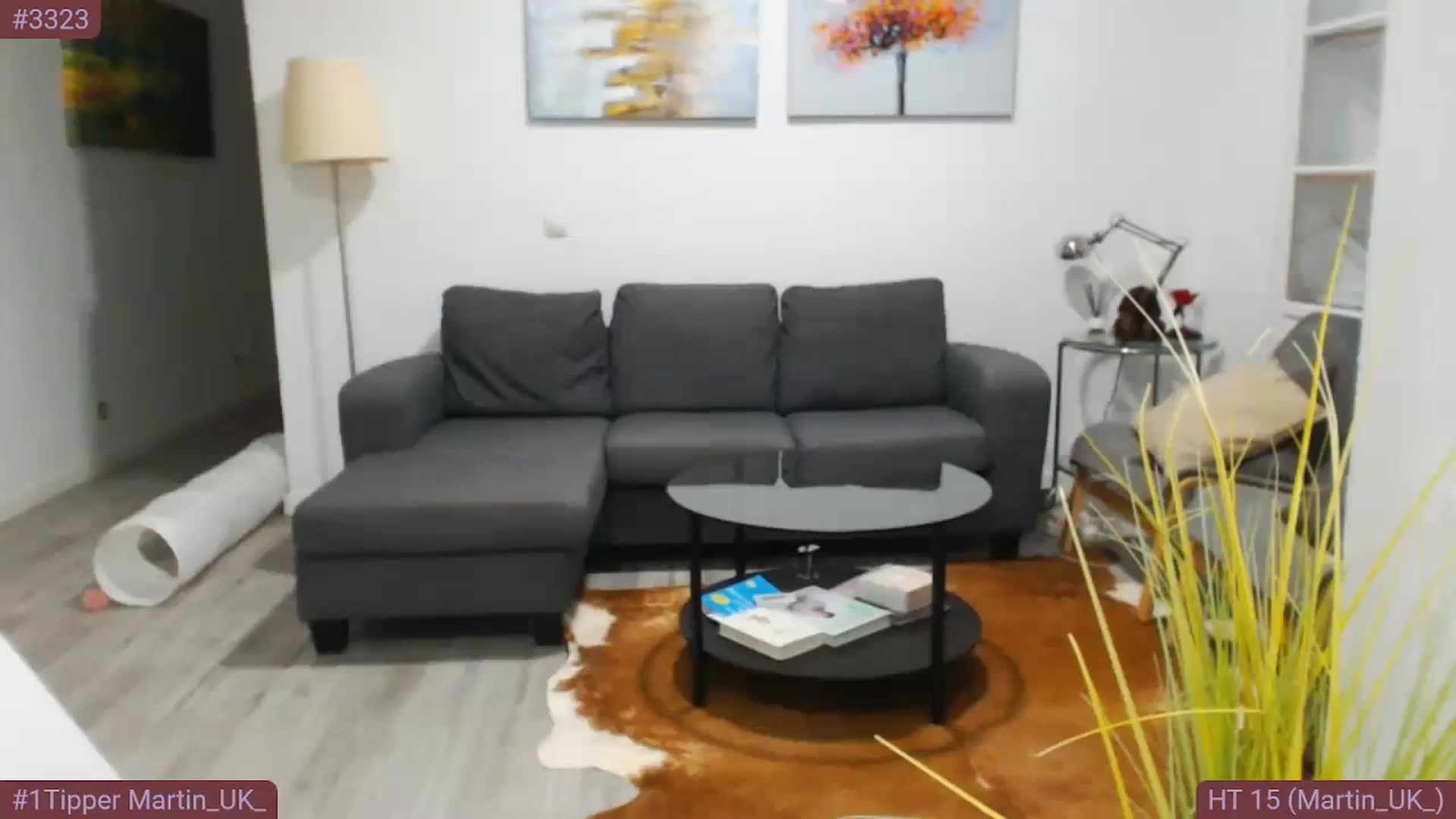Video Poster