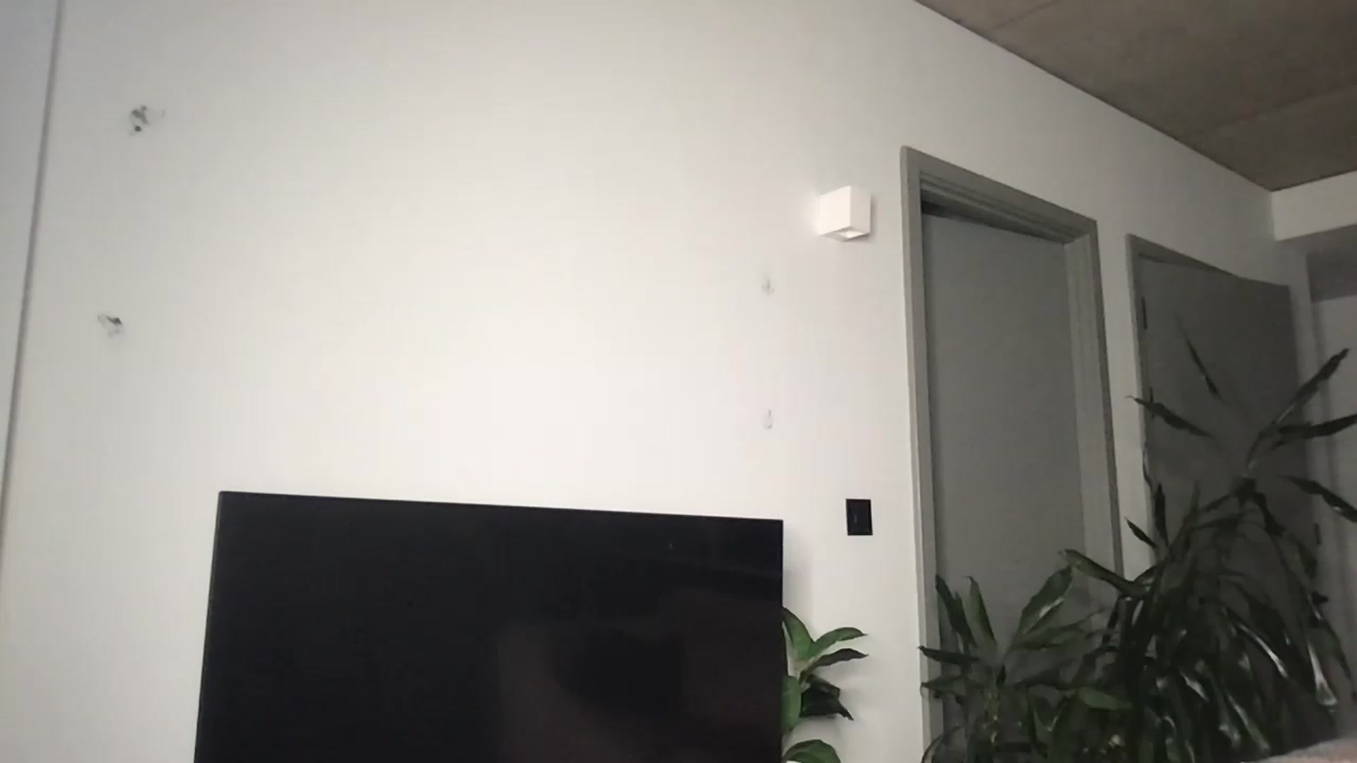 Dreamy_Peach video thumbnail