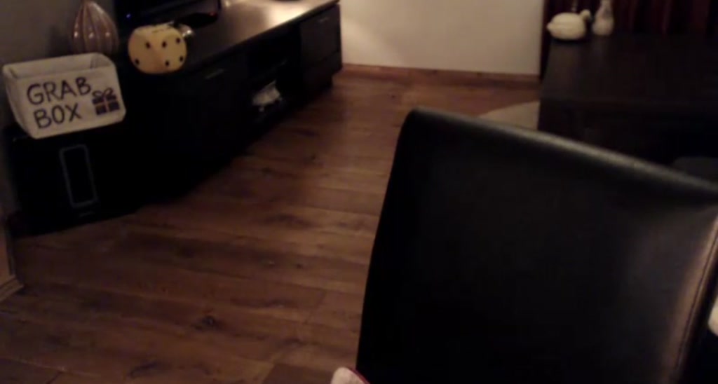 WildestKitten video thumbnail