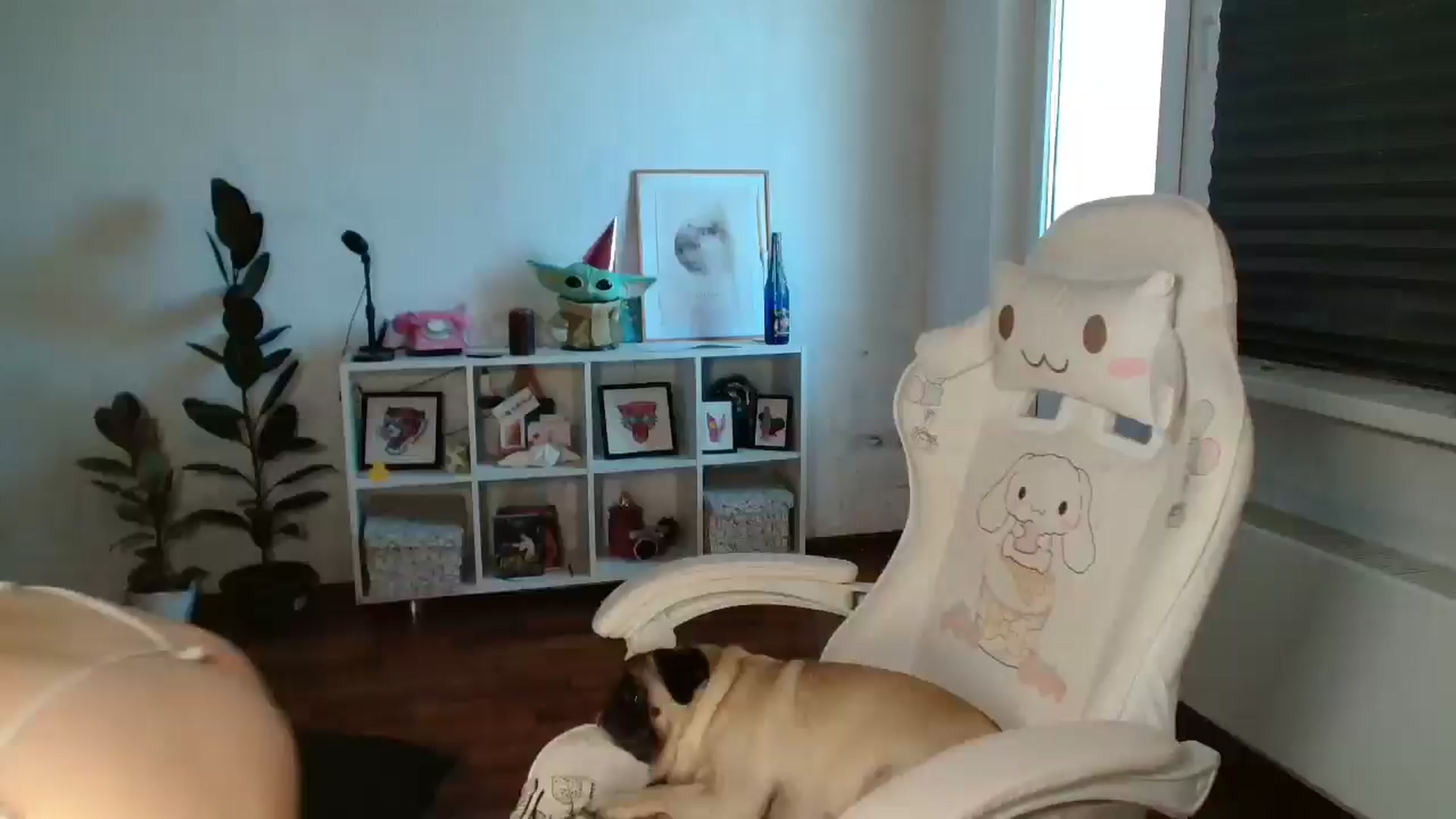 FunnyMinni video thumbnail