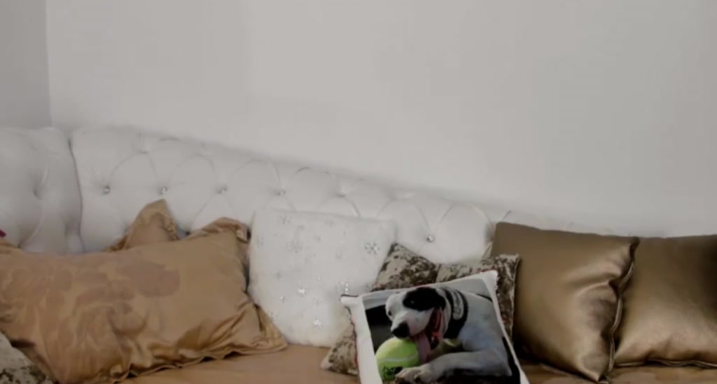 Allesia_ video thumbnail