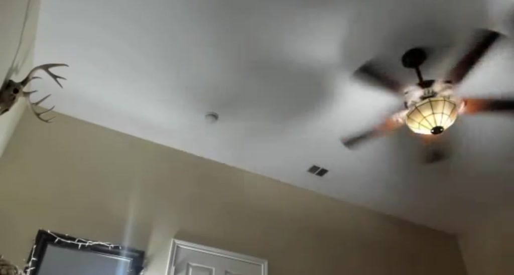 WinnDixiee video thumbnail