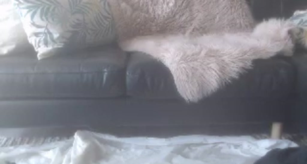 Bella_Ellah video thumbnail