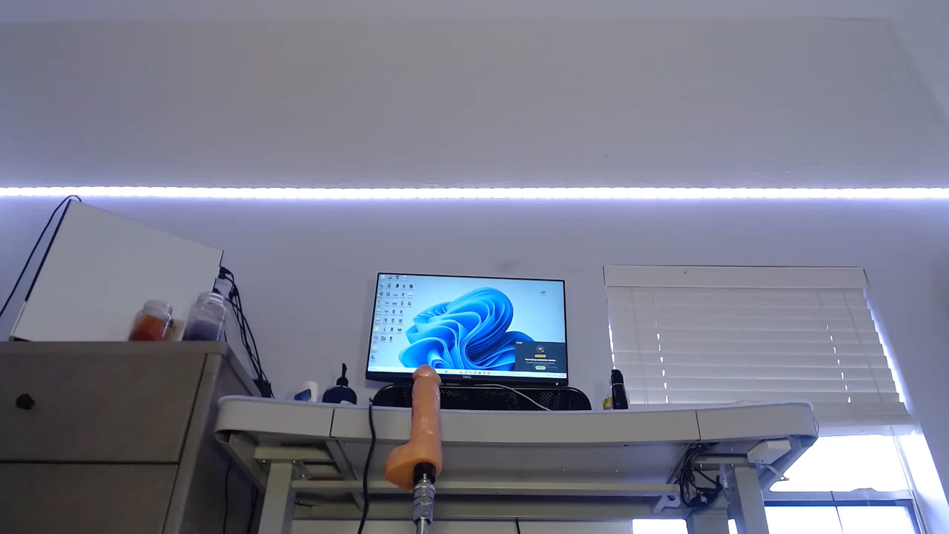 BunnyNextDoor video thumbnail