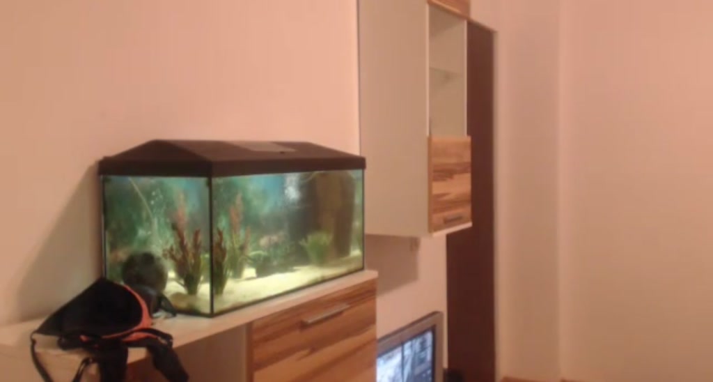 hunny_bunny25 video thumbnail