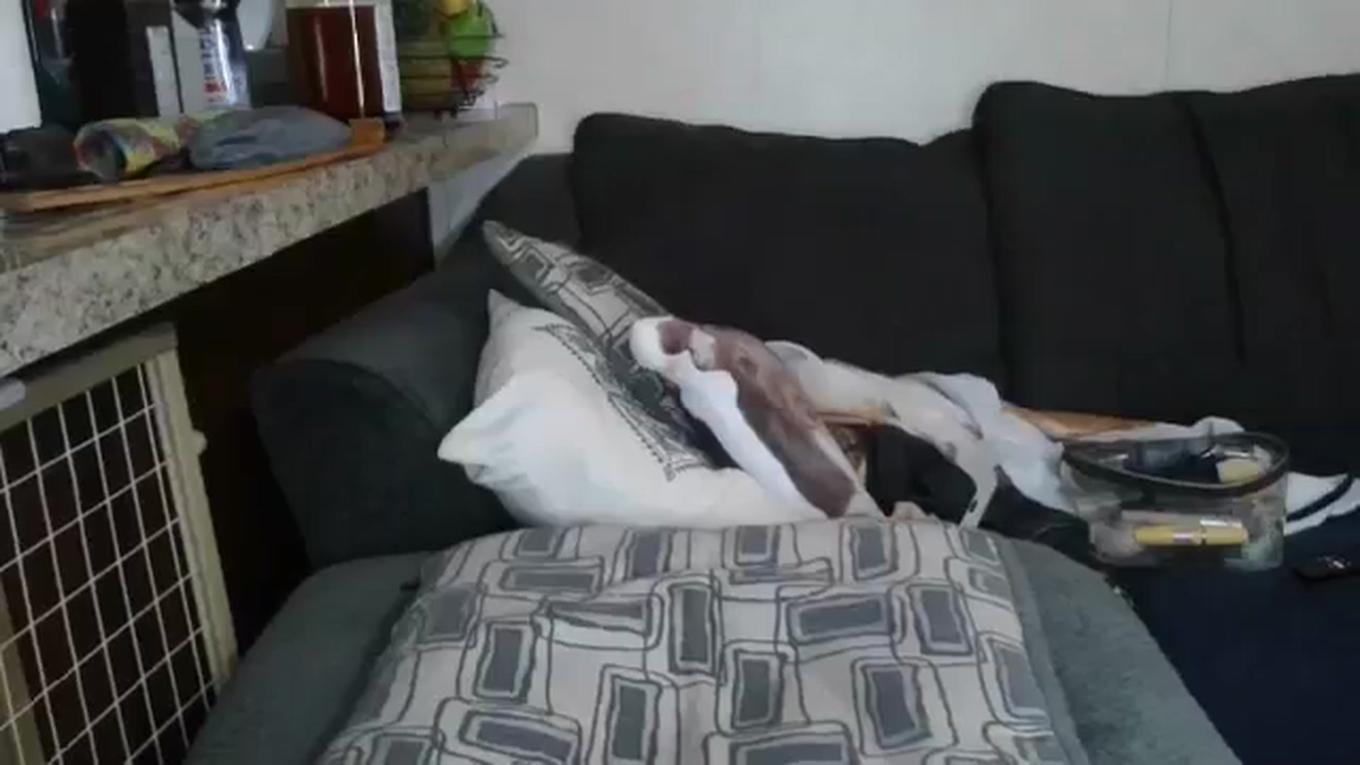 Sofieyoungxxx video thumbnail