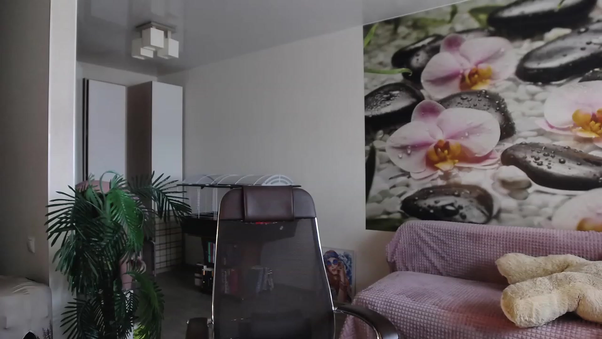 HoneyIAmHome video thumbnail