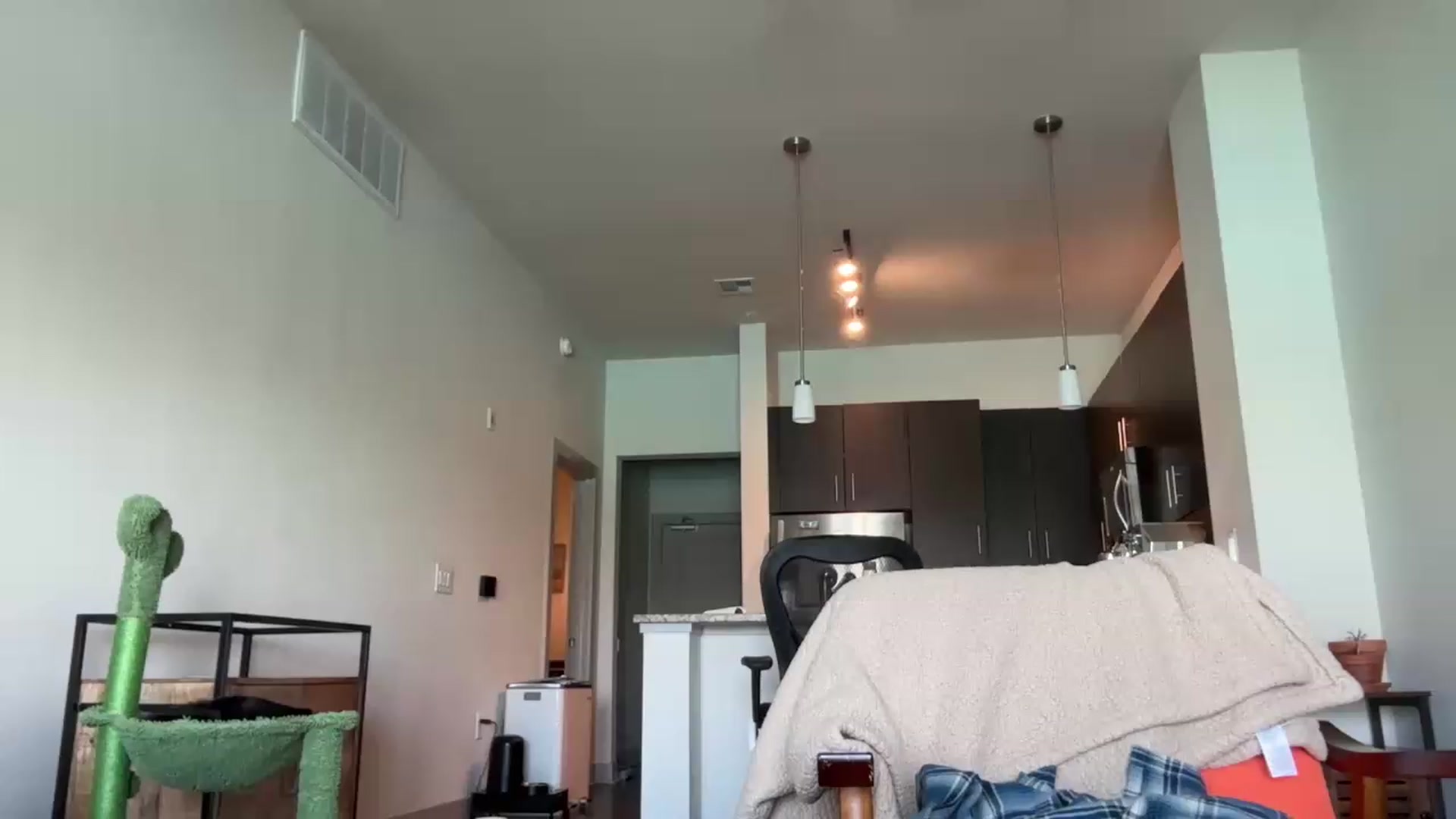 Partygirl1 video thumbnail