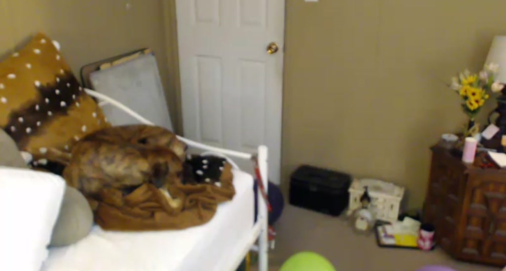 DaisyDestin video thumbnail