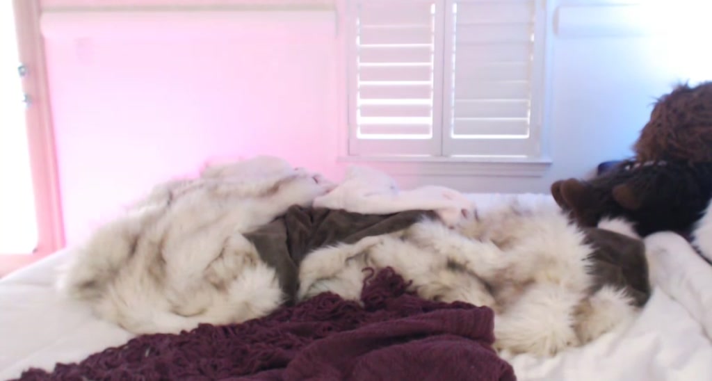 AbbeyRhode video thumbnail