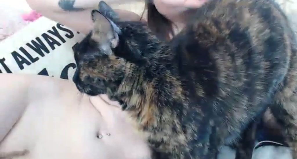 Ledabear video thumbnail
