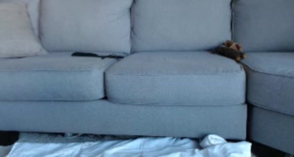 AlexaPond video thumbnail