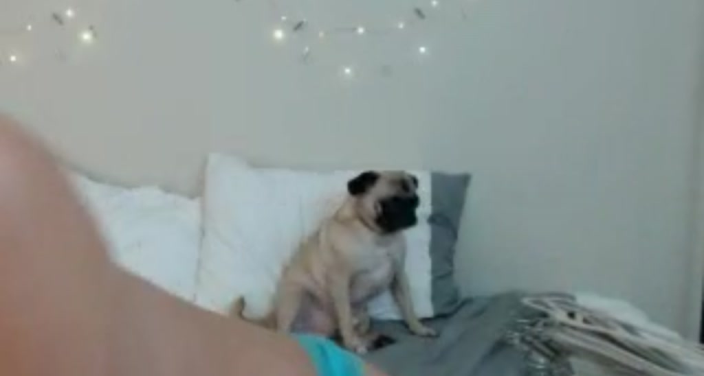 AlexaPond video thumbnail