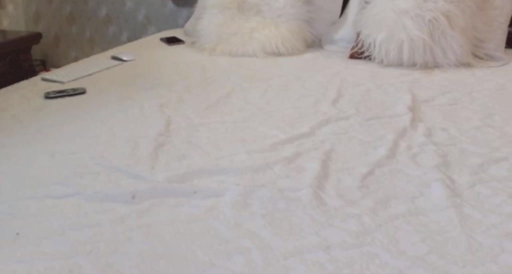 Lilie_ video thumbnail