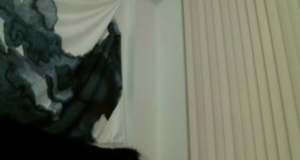 ElleMonroe video thumbnail