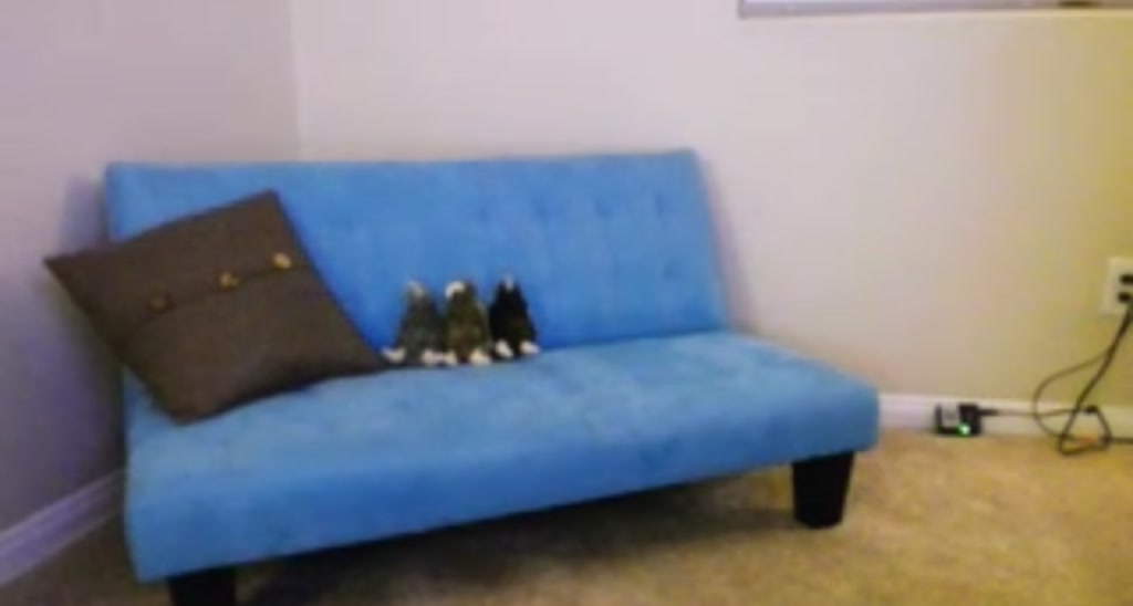 Emily video thumbnail
