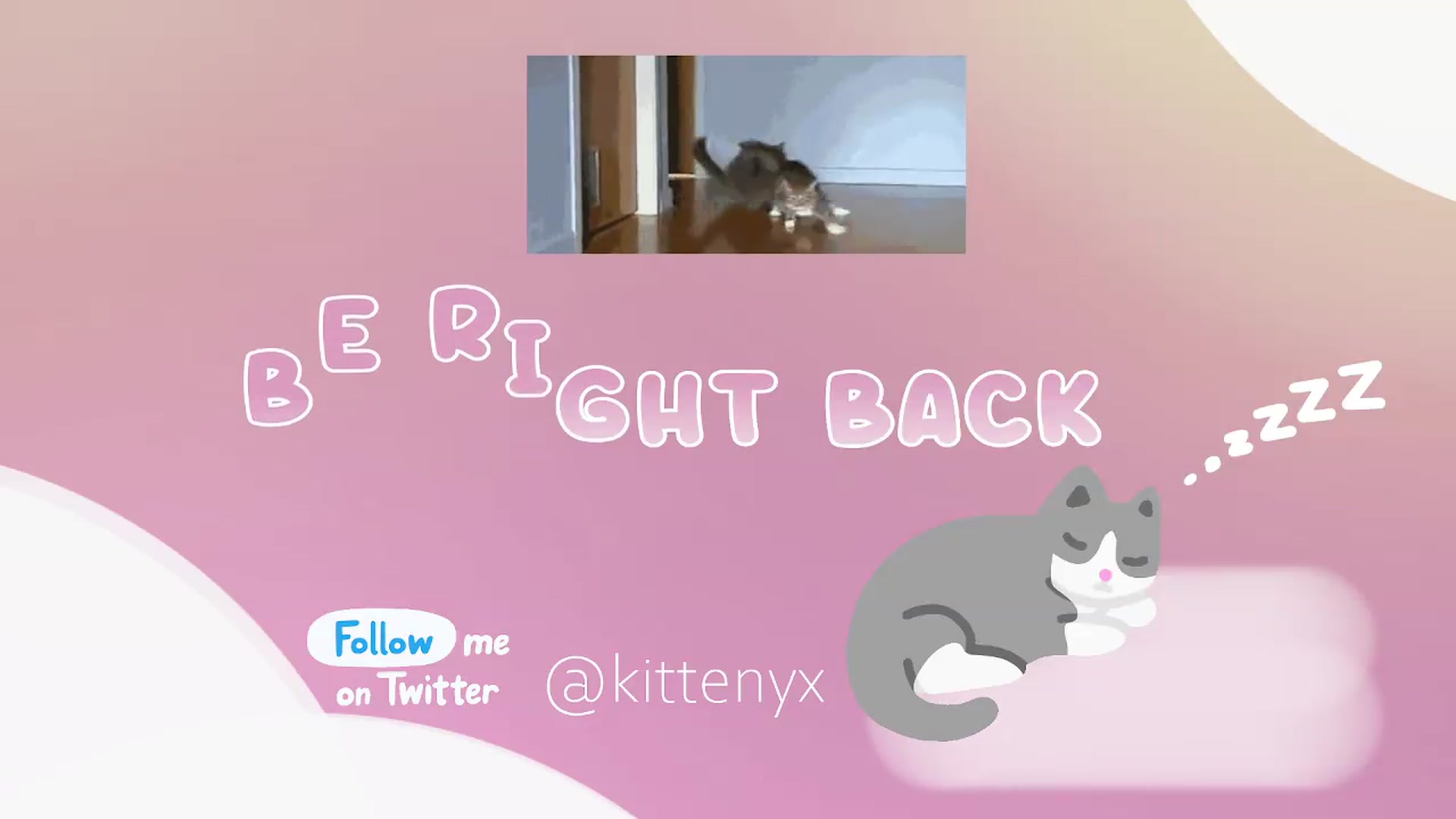 Kittenyx video thumbnail