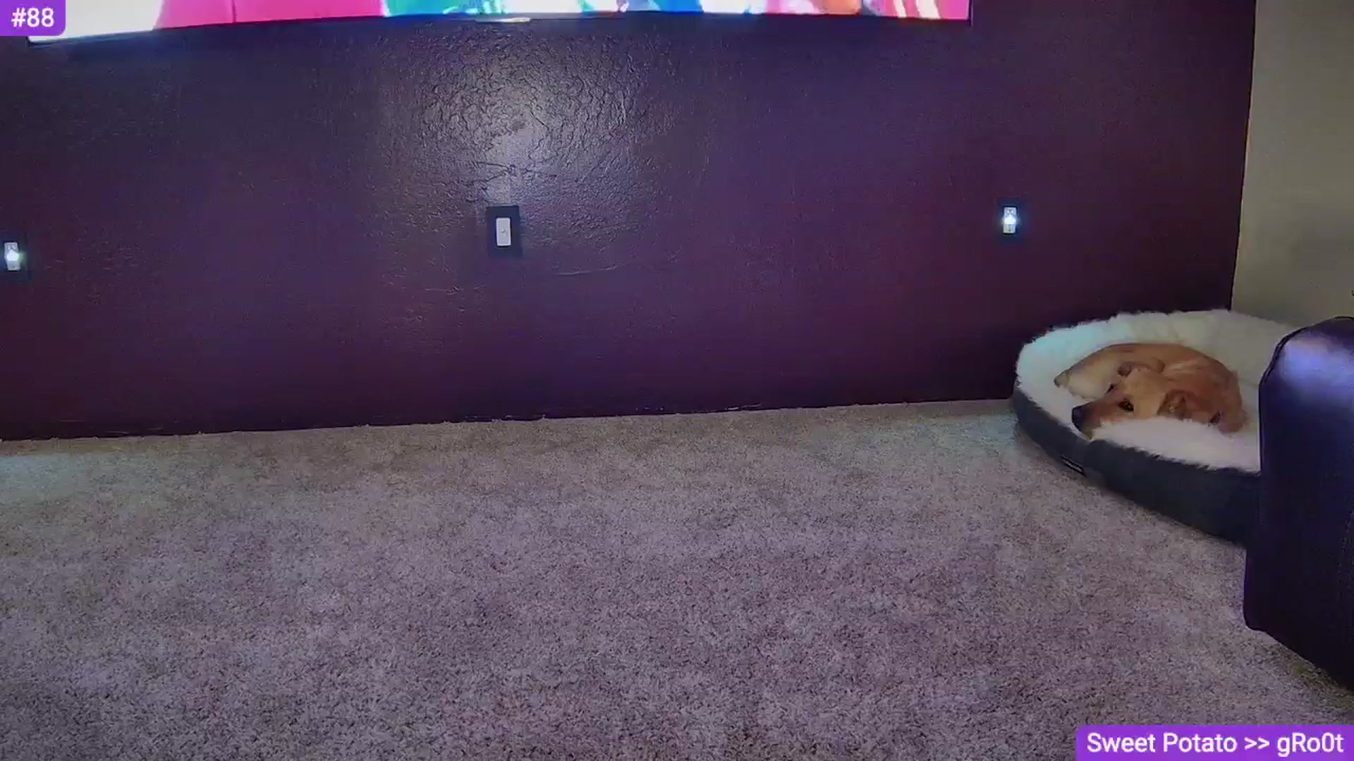 Sammy_gray video thumbnail