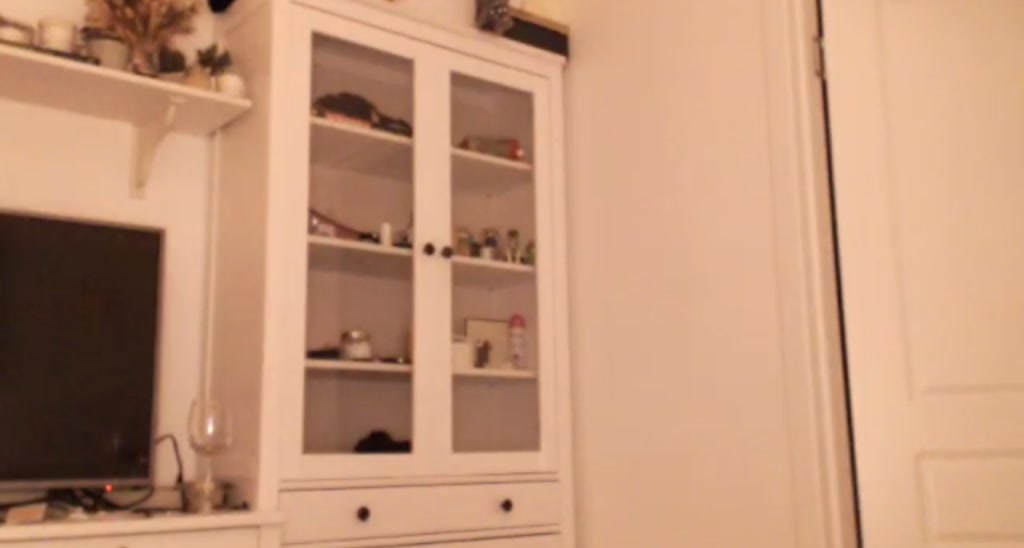 CanlyFly video thumbnail