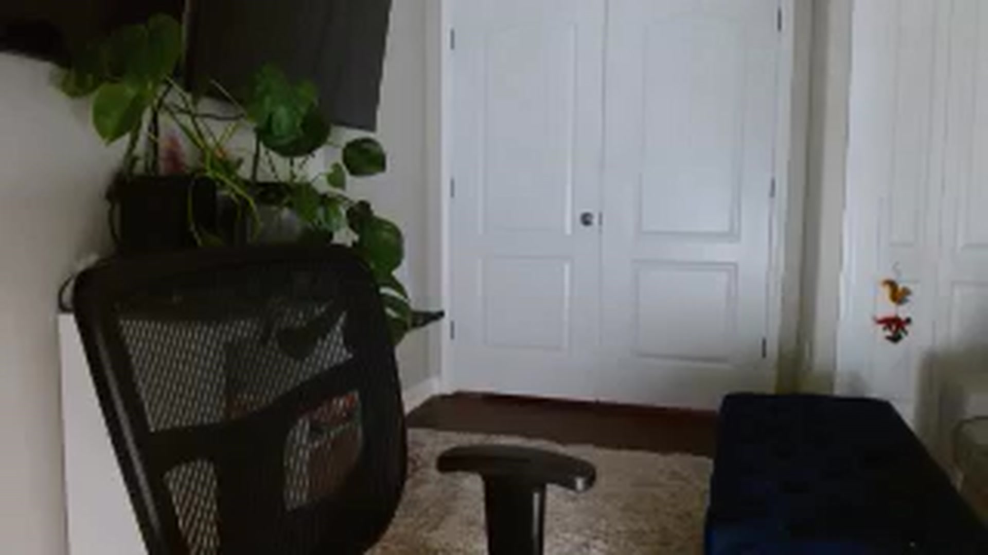 Sarah_Stark video thumbnail