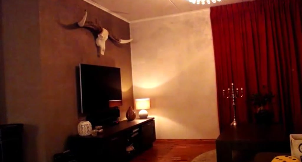 WildestKitten video thumbnail