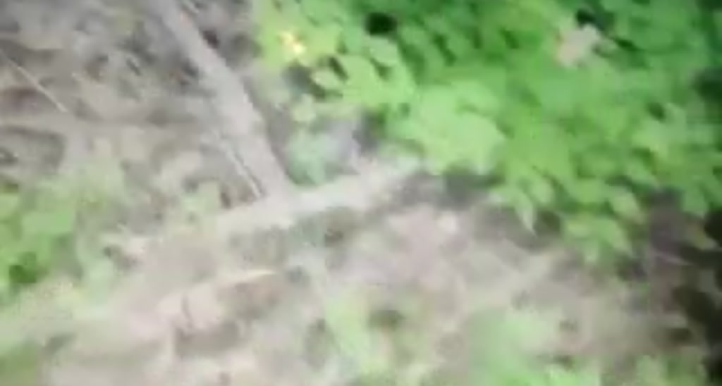 FarmGirl__ video thumbnail