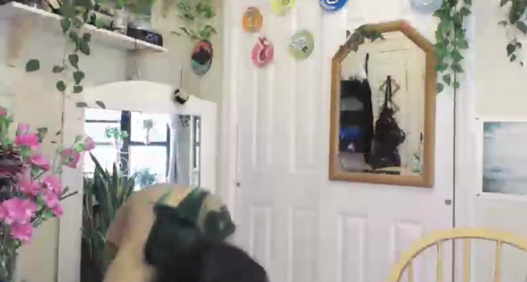 ForestBonnie video thumbnail