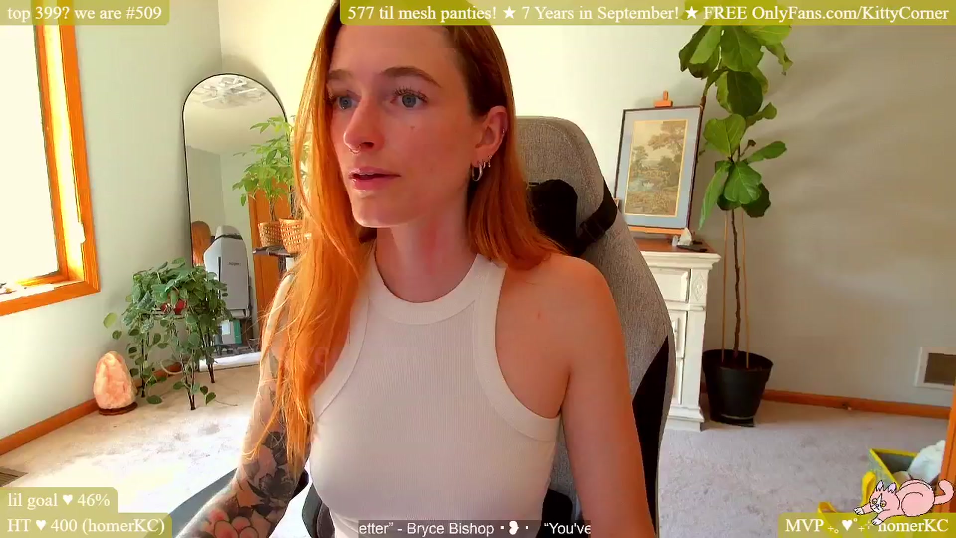KittyCorner video thumbnail