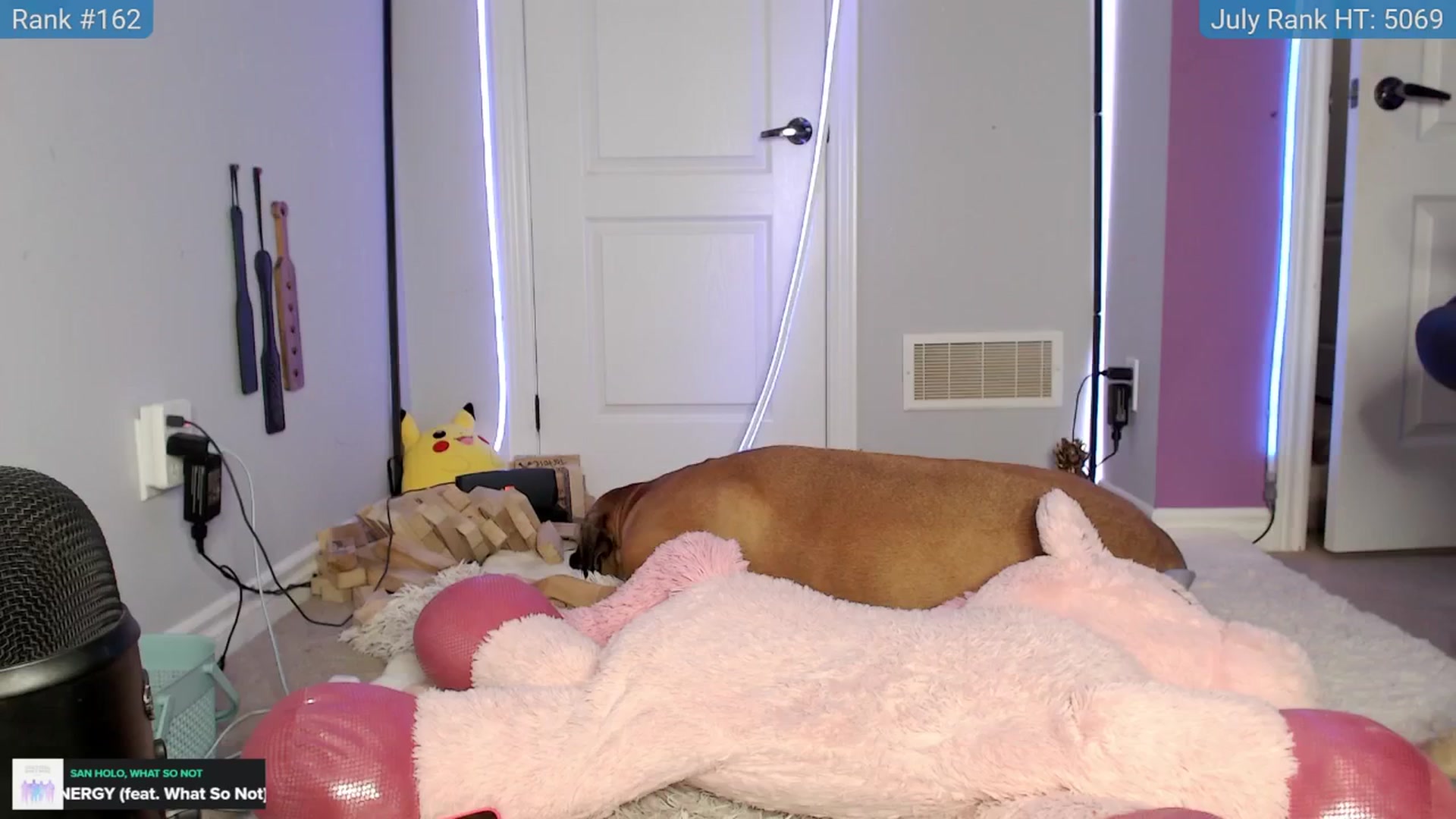 HaileeCameron video thumbnail