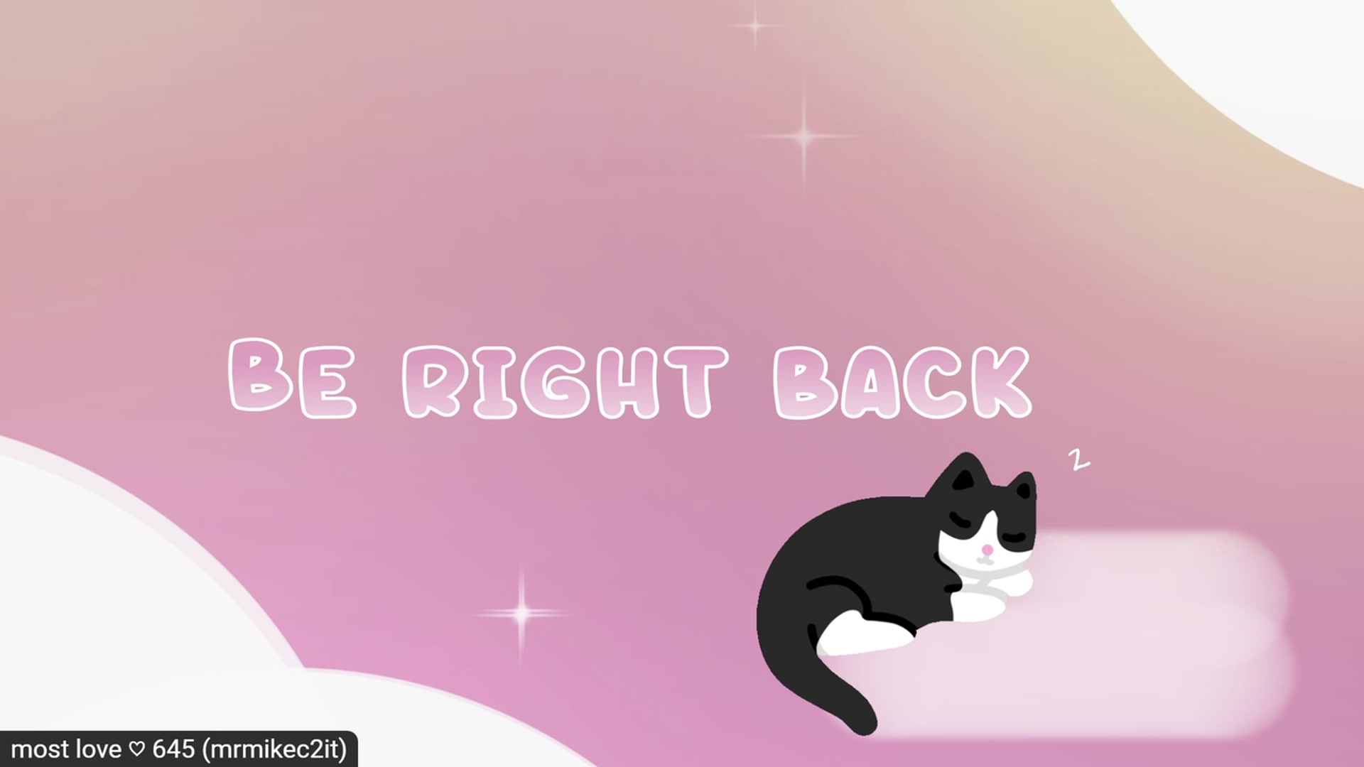 Kitty video thumbnail