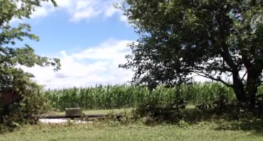 FarmGirl__ video thumbnail